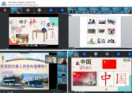 Online Chinese for Business Training Project